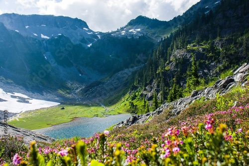 Blue heath or Purple mountain heather (Phyllodoce caerulea) flowers with the mountains and Austin Pass Lake in Heather Meadows North Cascades, WA, USA