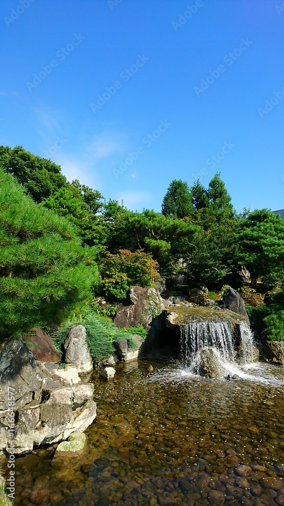 Naklejka premium 富山城の日本庭園