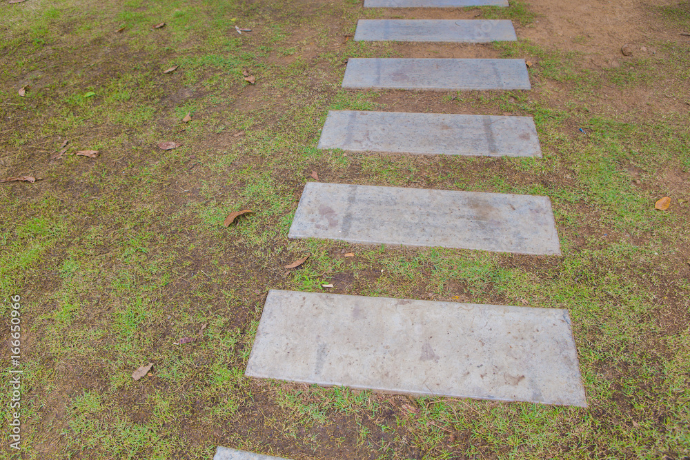 Obraz premium garden walkway