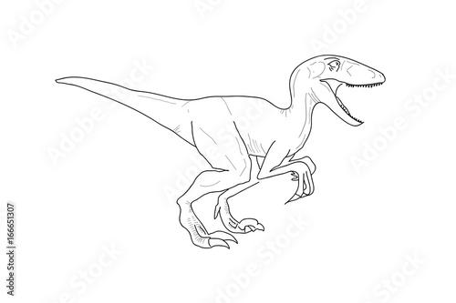 Dinosaur  Raptor  Sketch  Vector 