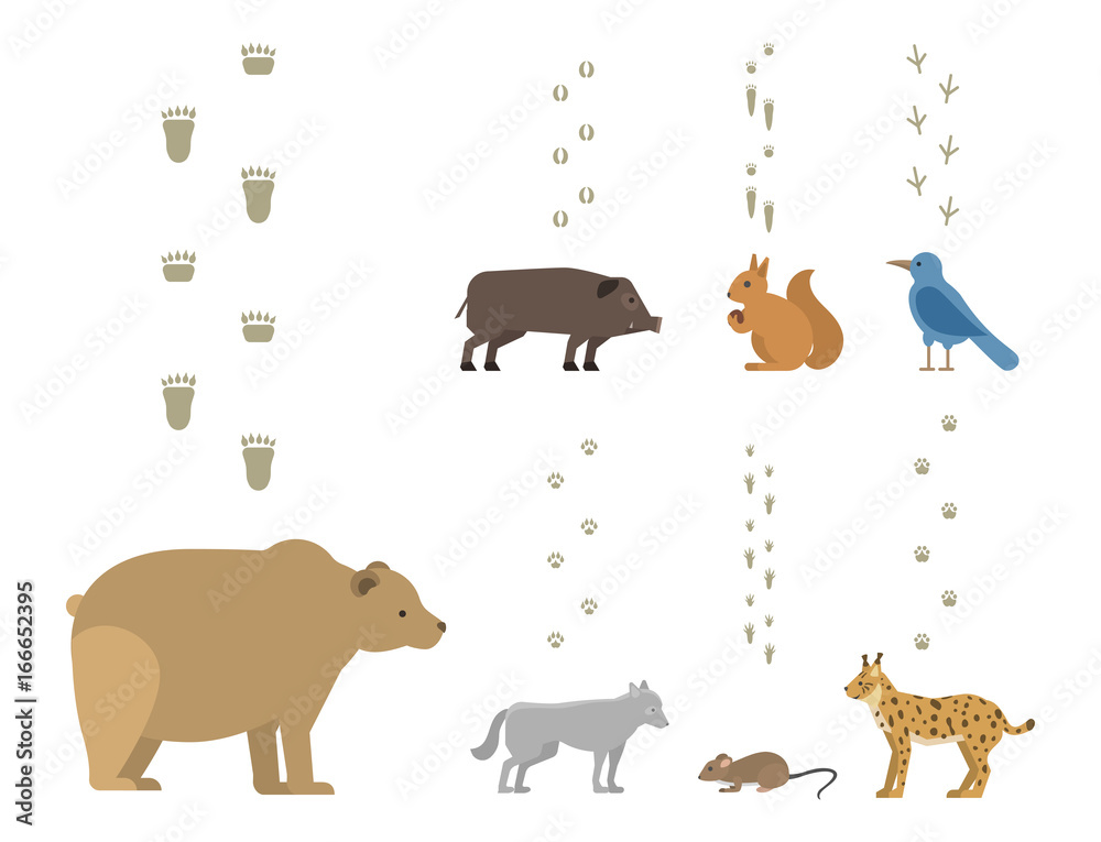 Fototapeta premium Animal footprints include mammals and birds foot print trace wildlife track steps wild nature silhouette vector