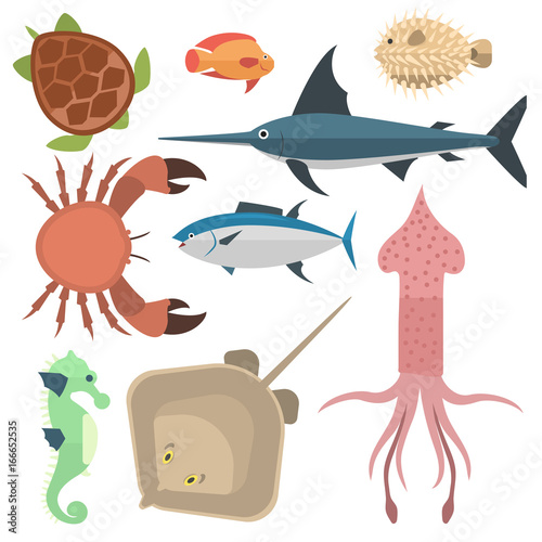 Vector sea animals creatures characters cartoon ocean underwater aquarium life water graphic aquatic tropical beasts illustration
