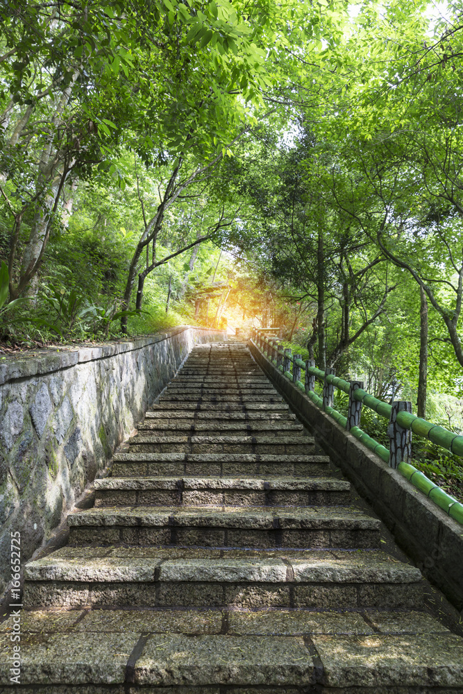 stone stairs among green forest stone stairs among green forest