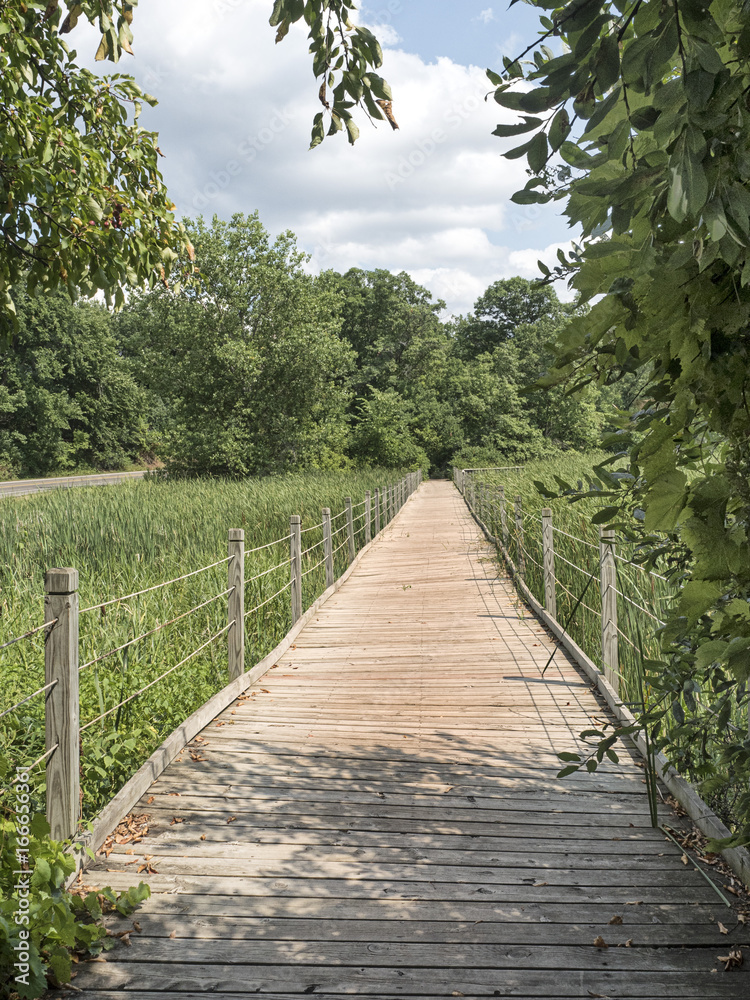 Fototapeta premium Wooden footpath through wetlands