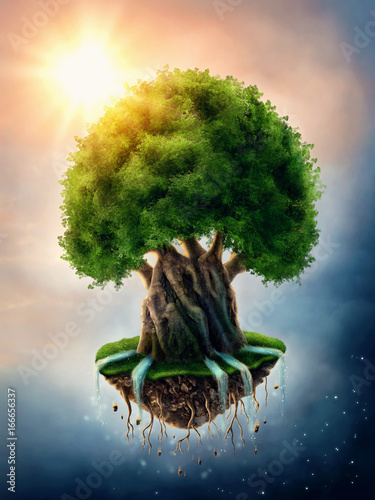 World tree