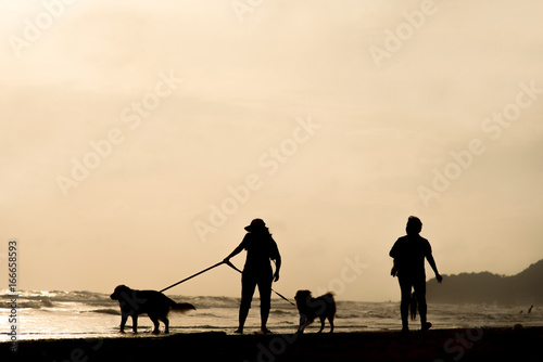 Happy young woman walking along a beach with her golden retriever at the sunset. Running with a dog