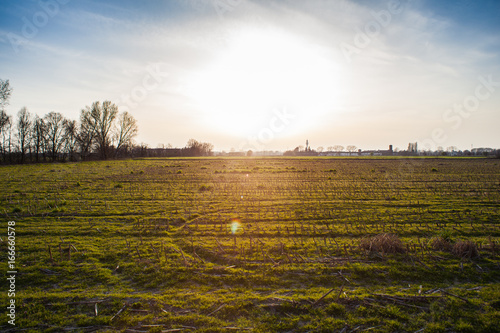 Field in the Po Valley photo