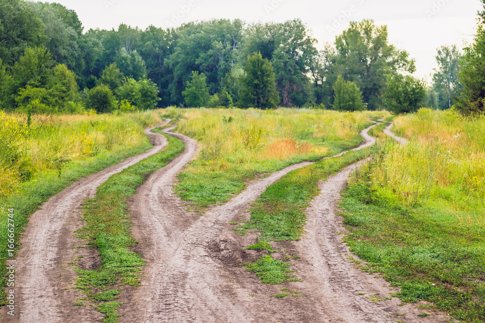 Crossroads, two different directions in the field at summertime. Concept of choose the correct way.