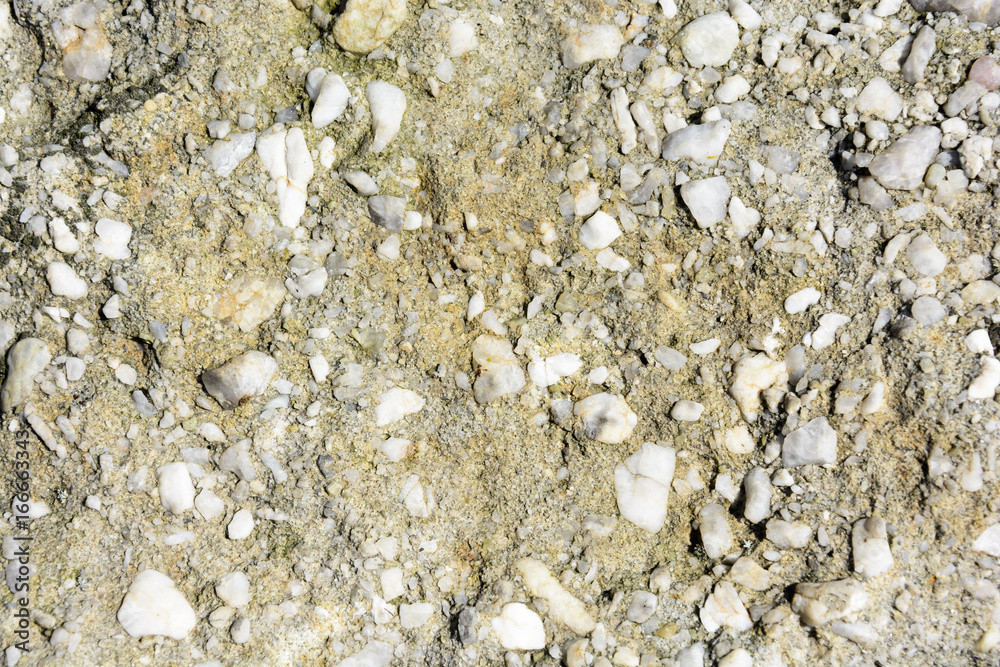 Αυτοκόλλητο Natural texture of conglomerate with quartz stones