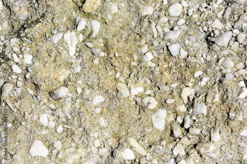 Photos Natural texture of conglomerate with quartz stones