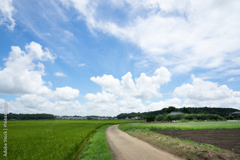 田園風景