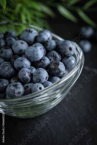 Wallpaper Mural Blueberry antioxidant organic in a bowl. Torontodigital.ca