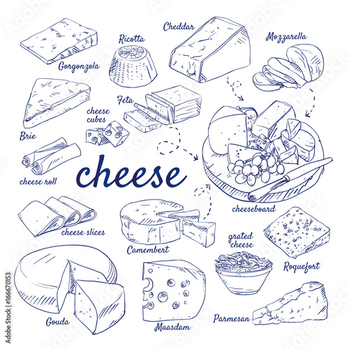 Doodle set of Cheese board - Gorgonzola, Ricotta, Cheddar, Mozzarella, Brie, Feta, Camembert, Gouda, Maasdam, Parmesan, Roquefort, hand-drawn. Vector sketch illustration isolated over white background photo