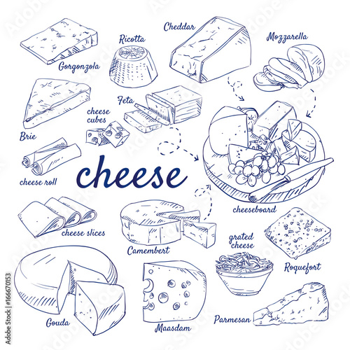 Doodle set of Cheese board - Gorgonzola, Ricotta, Cheddar, Mozzarella, Brie, Feta, Camembert, Gouda, Maasdam, Parmesan, Roquefort, hand-drawn. Vector sketch illustration isolated over white background