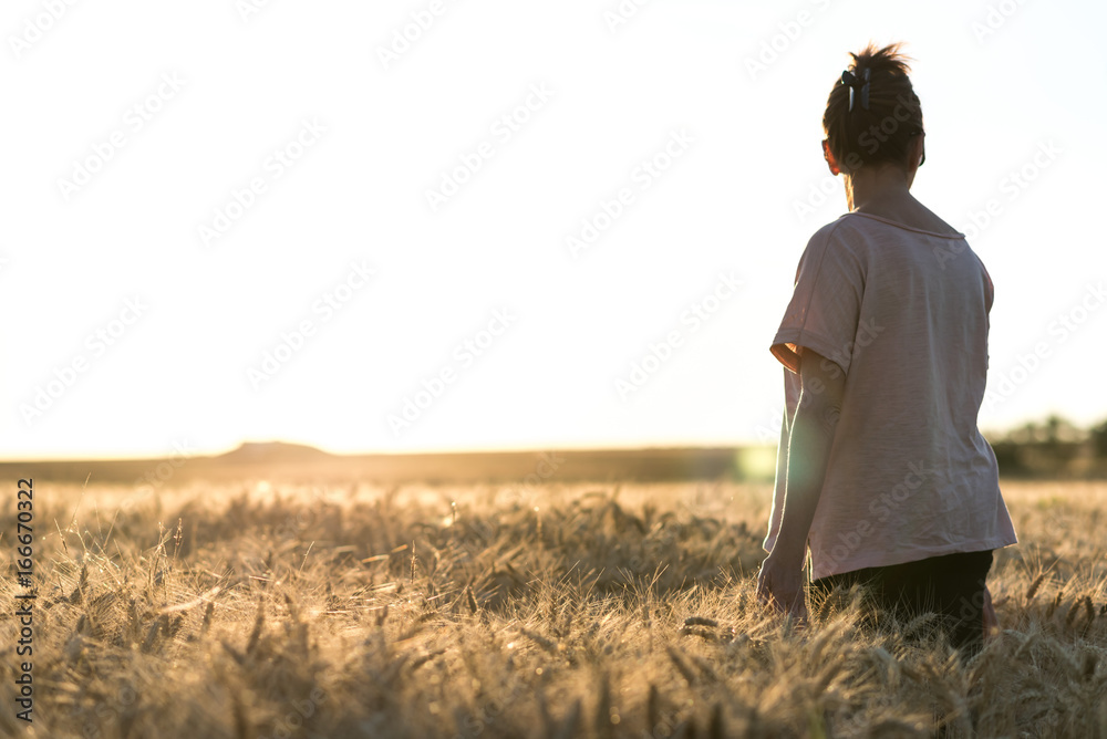 Woman in a wheat field at sunset, sunlight effect Woman in a wheat field at sunset, sunlight effect