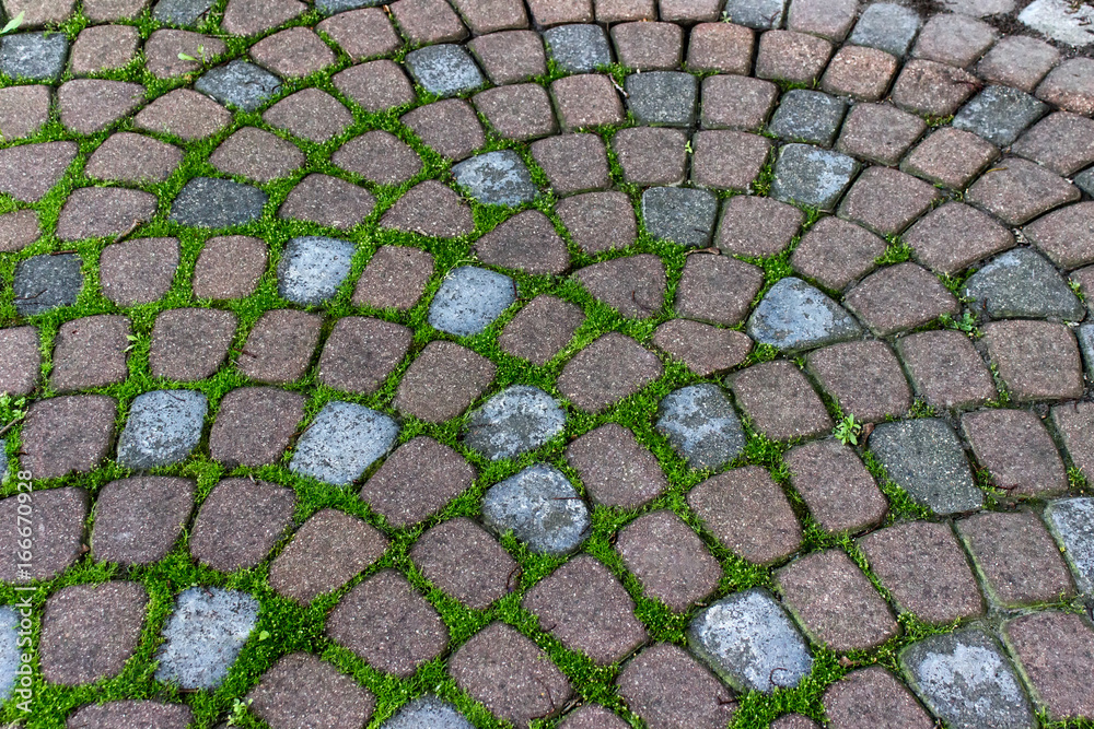 Decorative garden pavement tiles with grass growing in grooves.