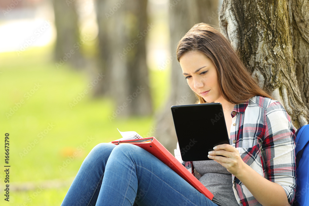 Student studying comparing notes on line Student studying comparing notes on line