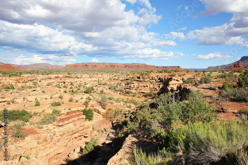 Idyllic landscape in Utah, USA
