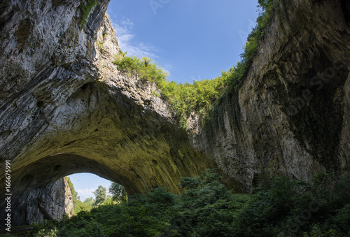 cave in the forest