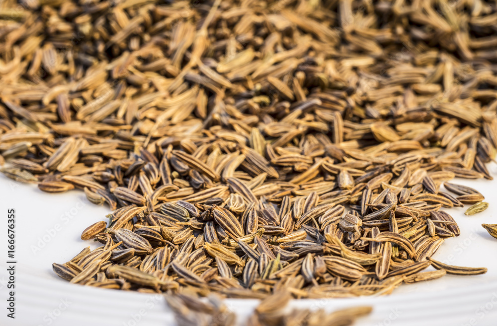 Caraway, seed, spice