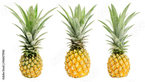 ripe pineapple on a white background.