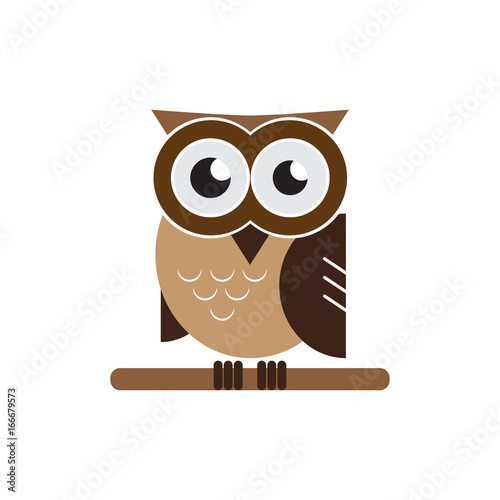 Owl brown vector