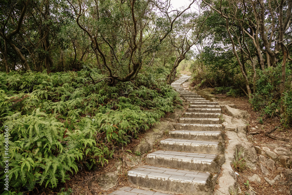 The warship rock trails