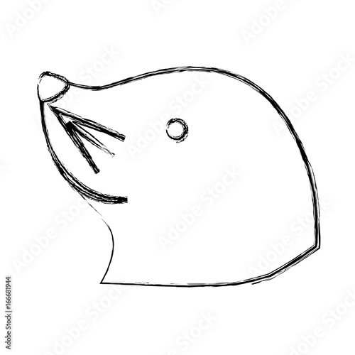 Sea lion cartoon