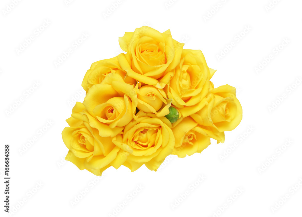 薔薇の花束 薔薇の花束