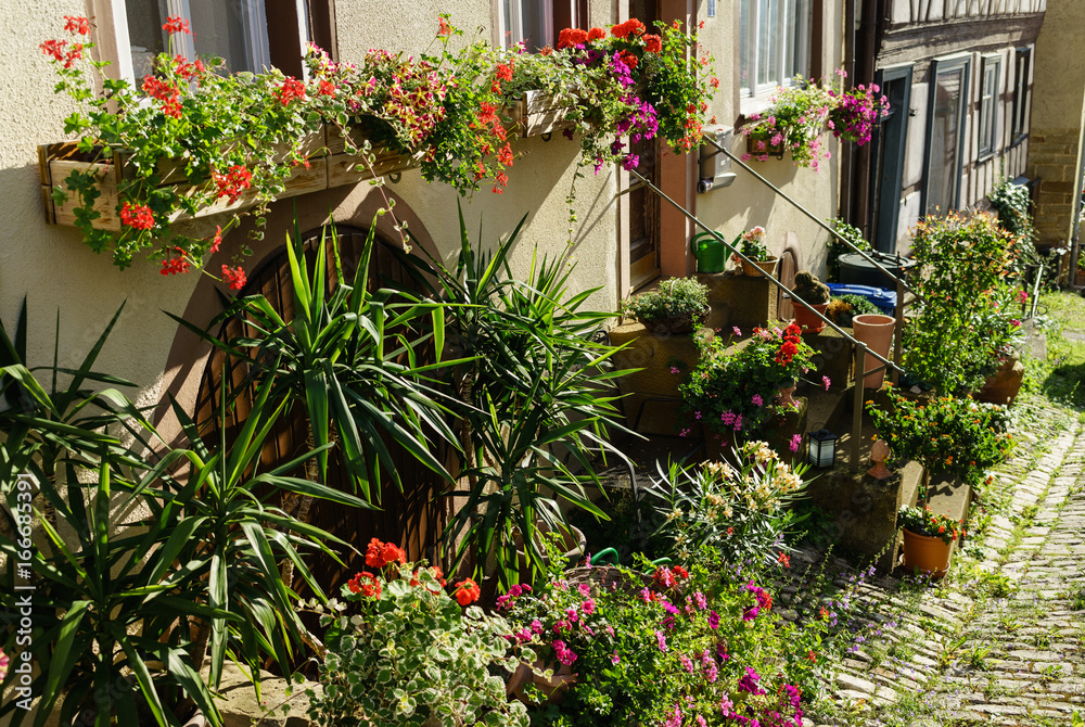 Obraz premium von Blumen und Palmenstöcken geschmückter Hauseingang; D, Bayern, Unterfranken, Landkreis Hassberge, Königsberg i. Bayern