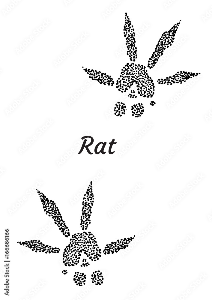 Rat footprint illustration, drawing, engraving, ink, line art, vector Stock  Vector | Adobe Stock