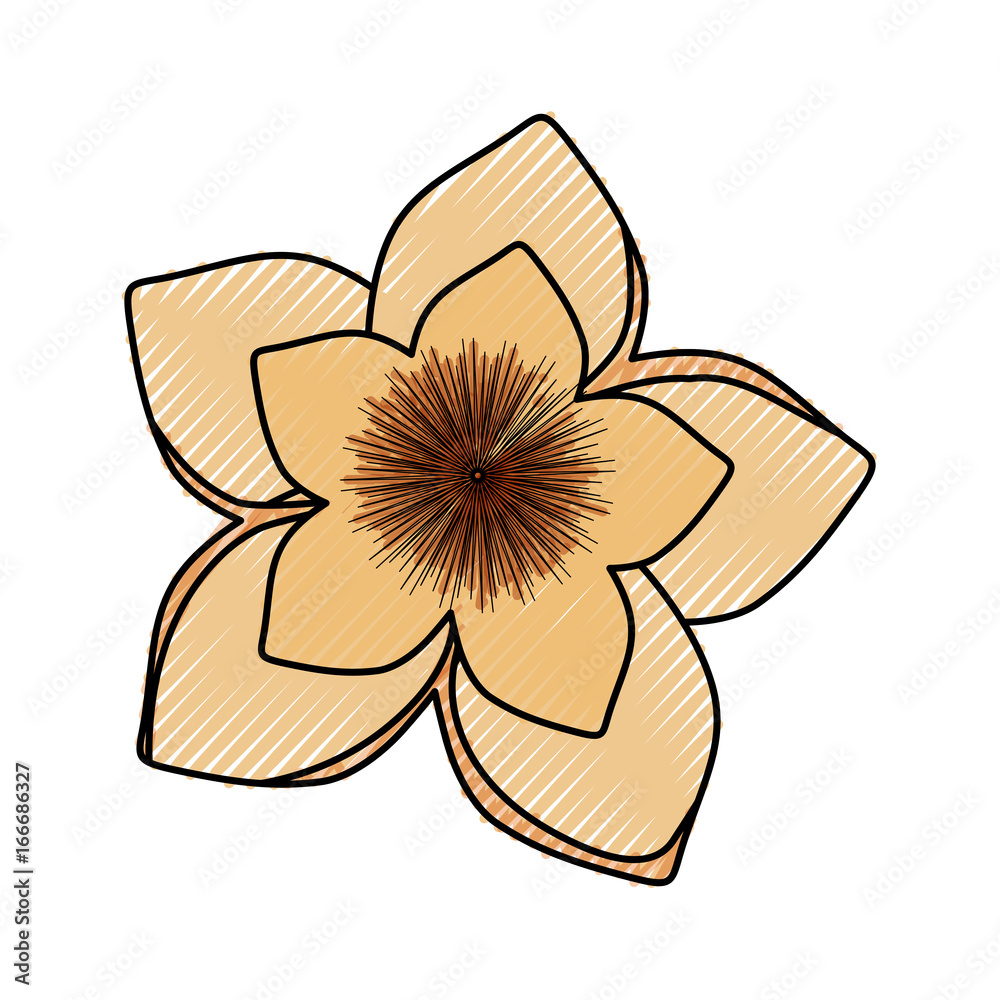 Beautiful flower symbol Beautiful flower symbol