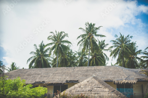 Roof and coconut © khunkornStudio