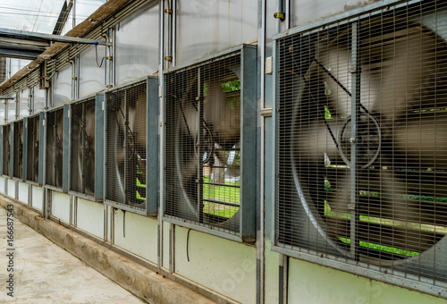 Fan system of greenhouse