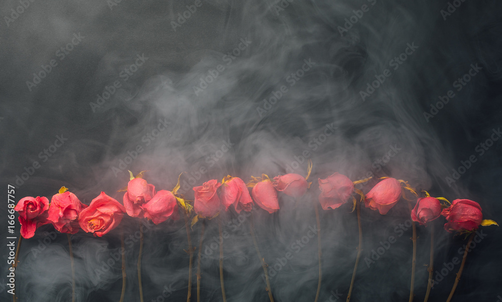 Fototapeta premium goth styl suche róże, czarne tło z dymem
