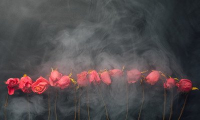 goth style dry roses, black background with smoke