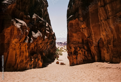 analog jordan experience