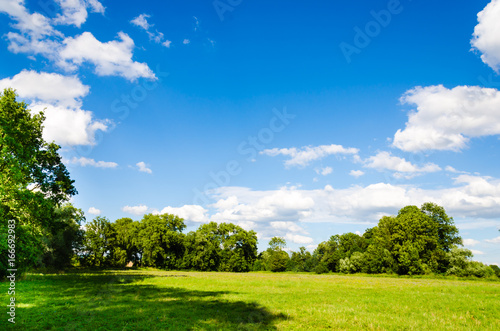 Awesome landscape with green meadow