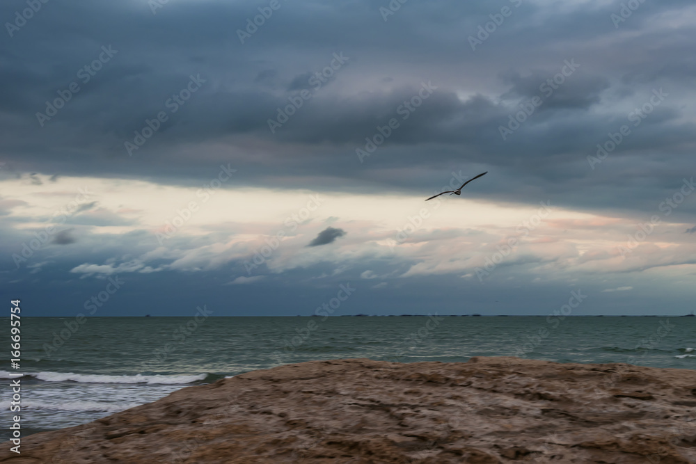Seagull in flight over the sea. Selective focus Seagull in flight over the sea. Selective focus