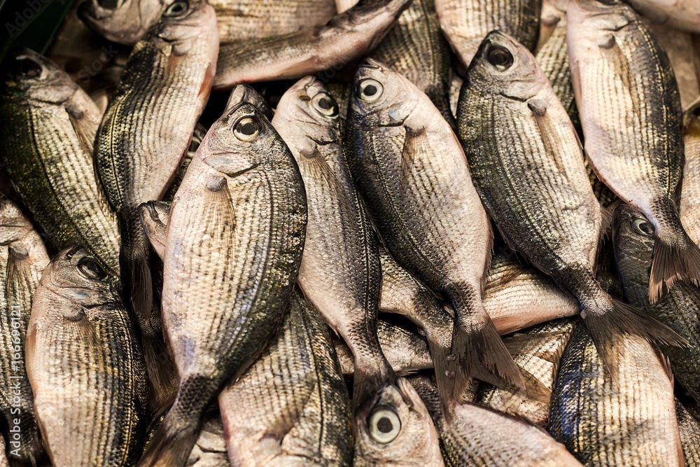 fresh sea fish on the local fish market fresh sea fish on the local fish market