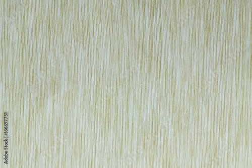 Beige Fabric Texture