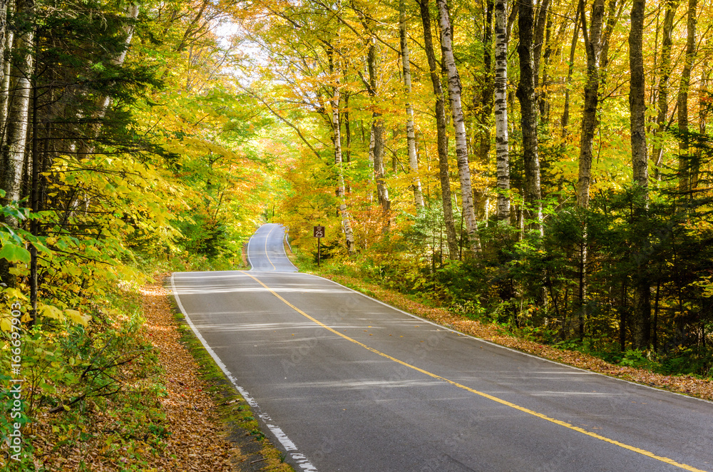 Obraz premium Uneven Mountain Road Through a Forest on a Sunny Autumn Day.