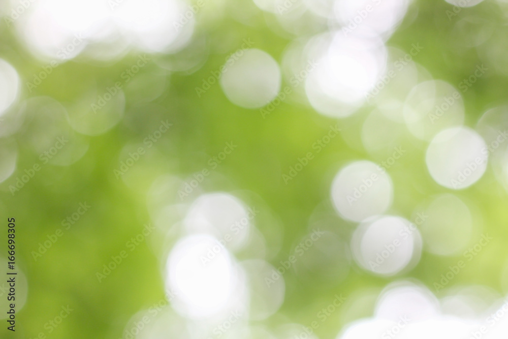 Obraz premium Stock Photo - background in spring green colors, bokeh diffuse effect
