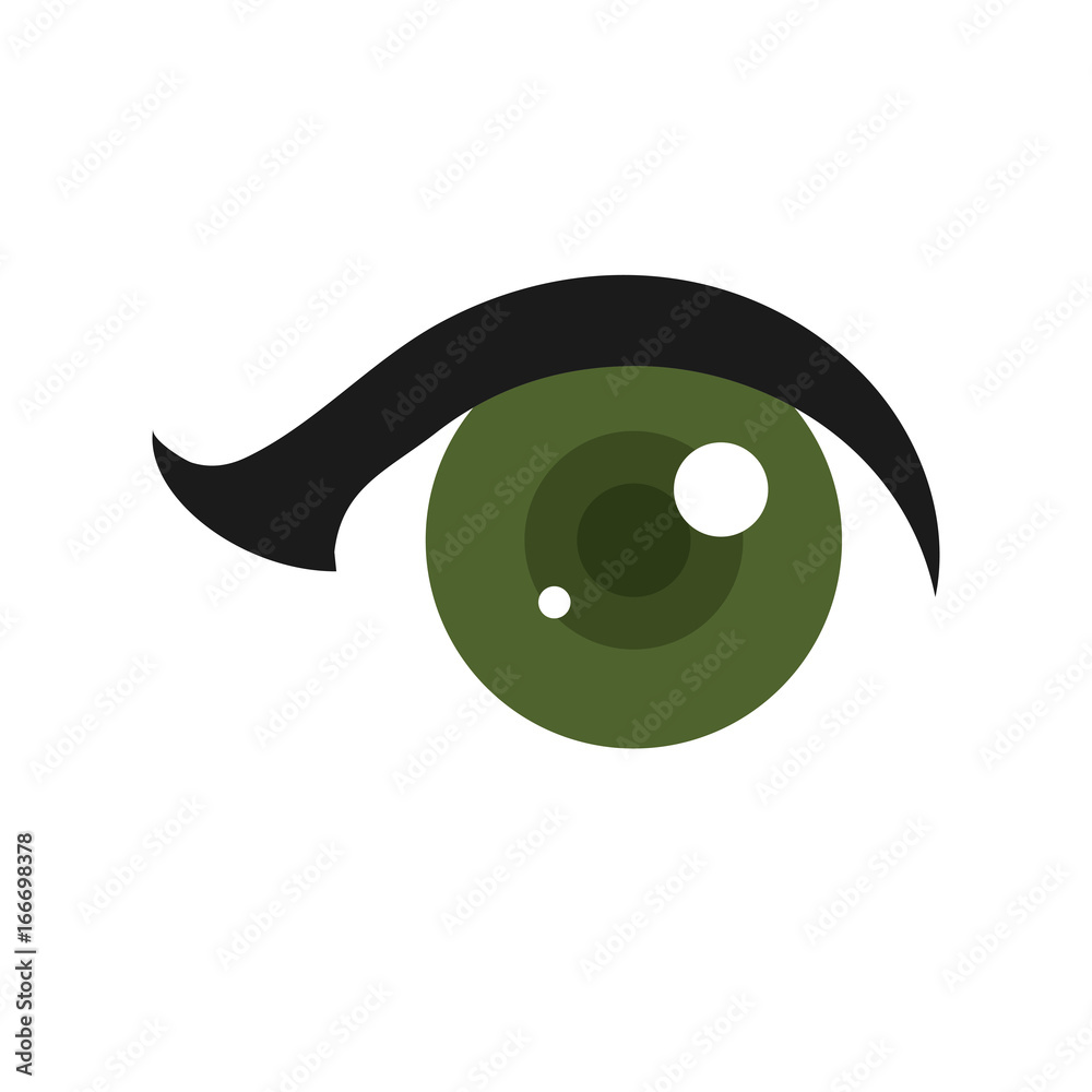 Obraz premium eye and eyebrow