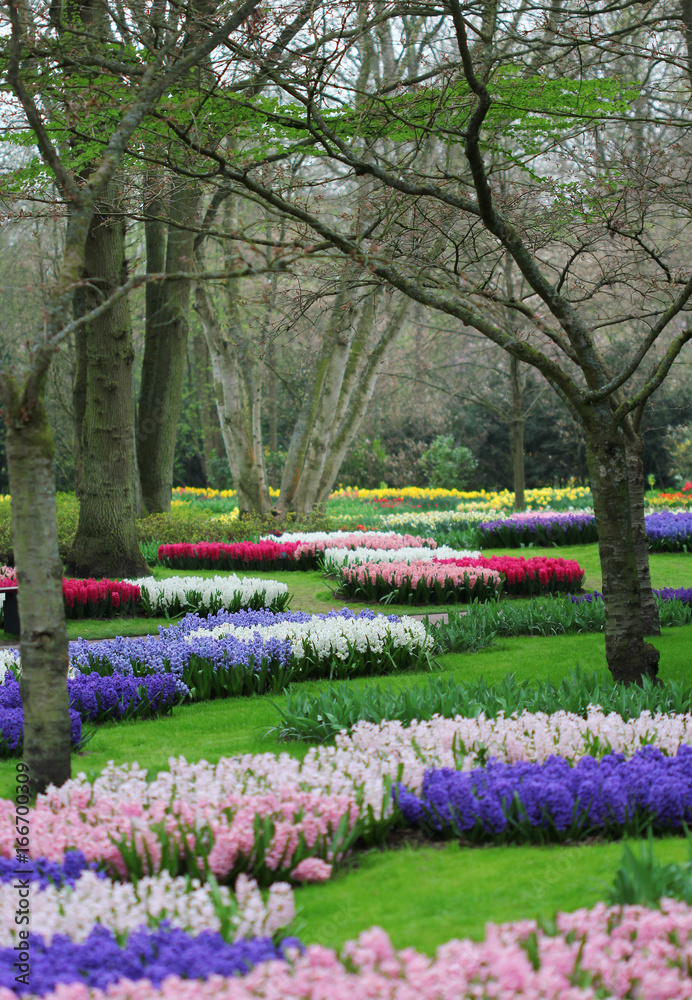 The spring park with many colorful flowerbeds