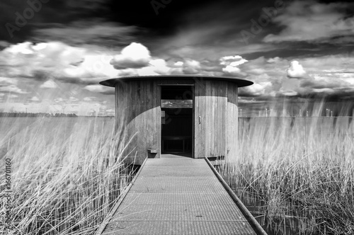 Dutch Landscape, Eempolder photo