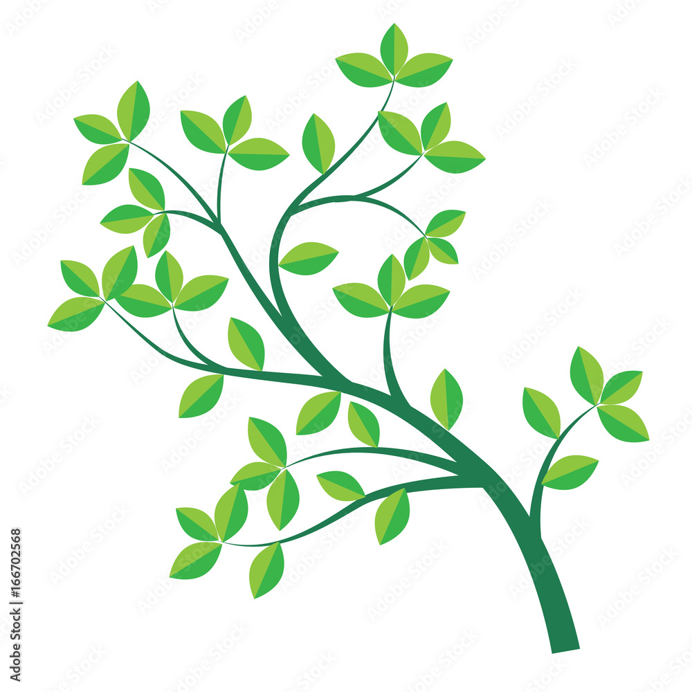 Isolated Green branch and leaf-Vector Illustration