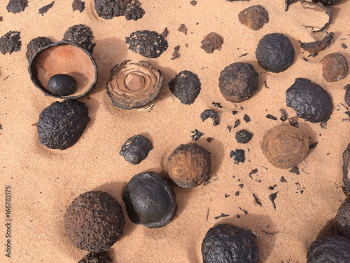 Cuadro en lienzo Moqui Marbles (grand staircase national monument, USA)