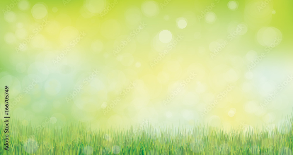 Vector green grass  nature background.