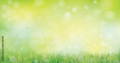 Vector green grass  nature background.